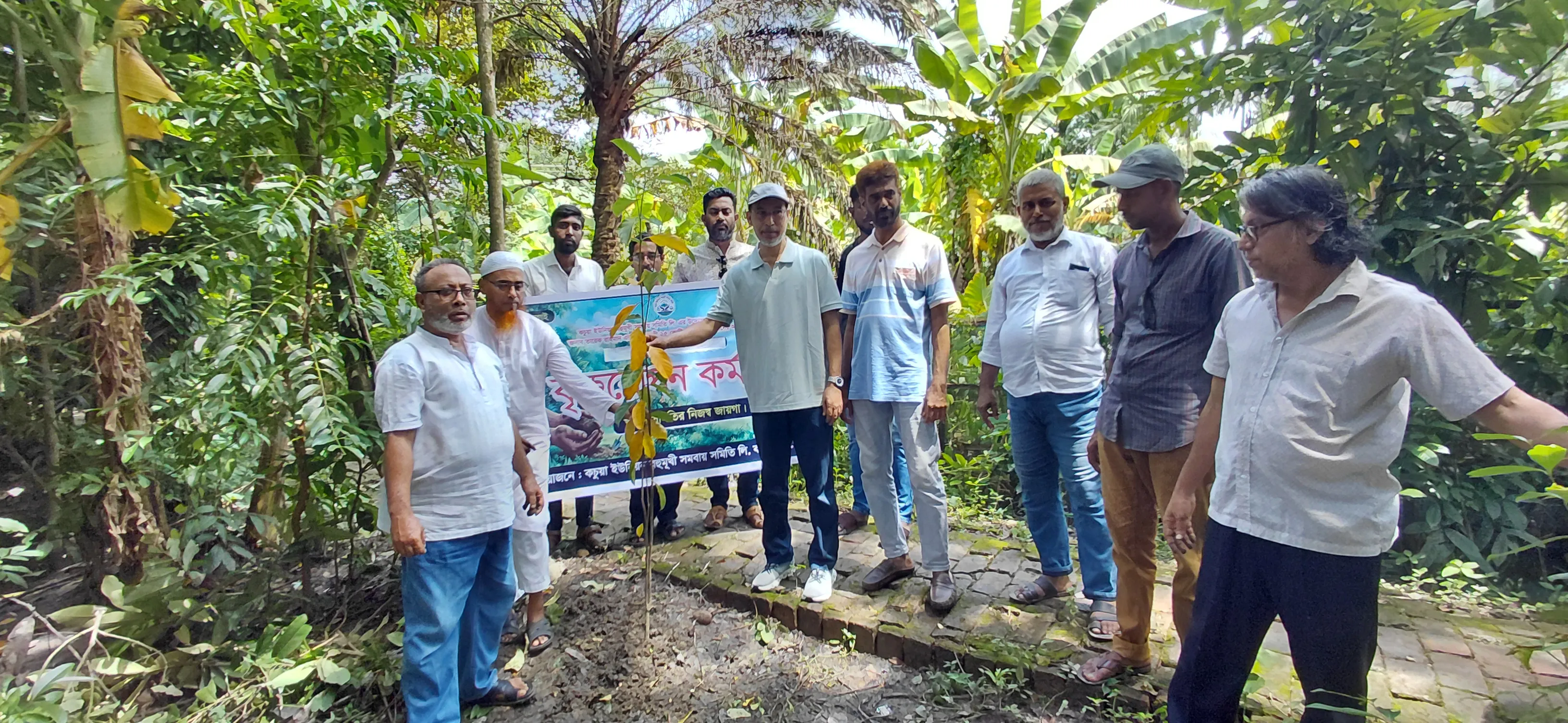 কচুয়ায় বহুমুখী সমবায় সমিতির বৃক্ষরোপণ