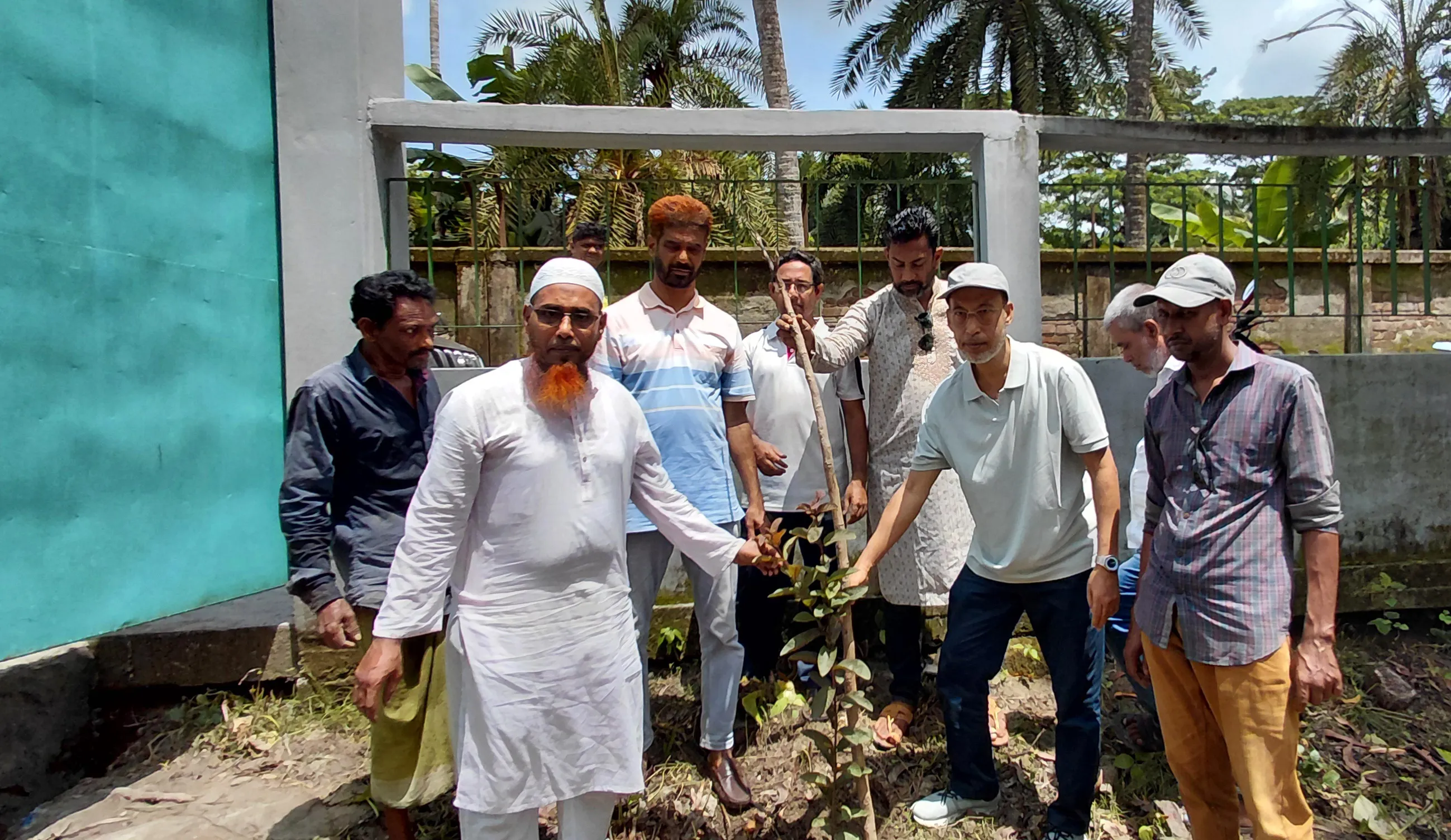 কচুয়া সরকারি কবরস্থানে বৃক্ষরোপণ করলেন বিএনপি নেতা সরদার জাহিদ